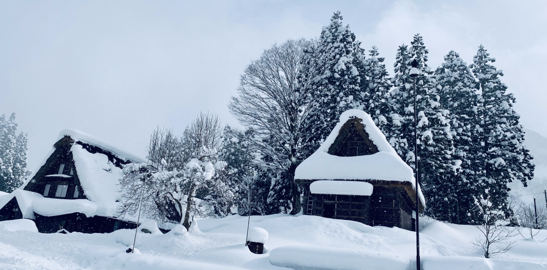 Ngẩn ngơ ngắm mùa đông cổ tích ở Shirakawa-go, Nhật Bản