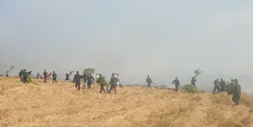 Bộ đội Biên phòng Kiên Giang: Giúp dân dập tắt đám cháy cứu lúa sắp thu hoạch