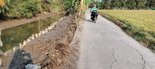 Cà Mau: Thiệt hại hơn 9 tỷ đồng do sạt lở, sụt lún đất